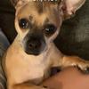 Carol Potts - @user382491335 - TikTok