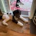 Carol Poulos - Facebook