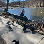 Carol Pound - @poundcarol - Instagram