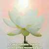 Carola Delpozzi - @caroladelpozzi - TikTok