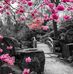 Carole Presnell - Facebook