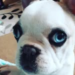 Carol Prince - @carol.prince.7568 - Instagram