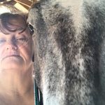 Carol Prough - @carolprough - Instagram