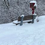 Carol Floyd Prouty - @proutycarolfloyd - Instagram
