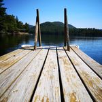 Carol Lynn Prout - @carollynnprout - Instagram