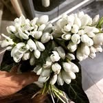 Carol Pullman - @carolpullman9112 - Instagram