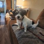 Carol Pyle - @cbpyle - Instagram