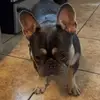 Decarol Pyles - @decarol.pyles - TikTok