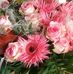 Carola Raabe - Facebook