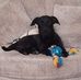Carol Ratcliffe - Facebook