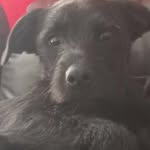 Carol Ratcliffe - @carol.ratcliffe.121 - Instagram
