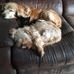 Carol Ratcliffe - Facebook