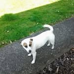 Carol Read - @arkwrite7 - Instagram