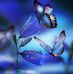 Carol Redus - Facebook