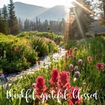 Carol Kelly Reiser - @reisercarol - Instagram