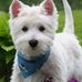 Caroline Reitmeyer - Facebook