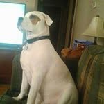 Carol Chapin Rhoads - @punkie54 - Instagram