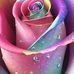Carol Greenlee Rhoads - Facebook