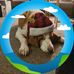 Carol Rhoads - Facebook