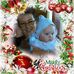 Carol Rich - Facebook