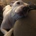 Carol Richard - Facebook
