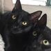 Carol Rickard - Facebook