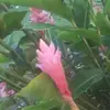 Carol Rickards - @carol.rickards - TikTok