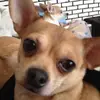 Carol - @carolriddle826 - TikTok