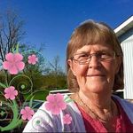 Carol Rigsbee - @carolrigsbee12 - Instagram