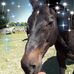 Carol Riedel - Facebook