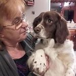 Carol Rivers - @carolrivers53 - Instagram