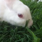 Carol Rizzi - @carolrizzi7 - Instagram