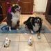Carol Roach - Facebook