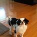 Carolyn Roark - Facebook