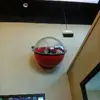 Carol Robb - @carol.robb50 - TikTok