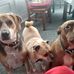 Carol Roche - Facebook
