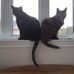 Carol Rodgers - Facebook