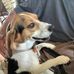 Carol Roe - Facebook