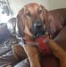 Carol Roe - Facebook