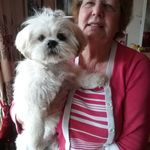 Carol Rolfe - @carol.rolfe.752 - Instagram