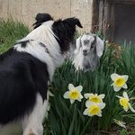 Carol Rollman - @farmercarolrollman - Instagram