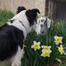 Carol Rollman - Facebook