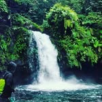 Carol Rona - @carol.rona.7 - Instagram