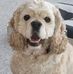 Carol Rosenbaum - Facebook