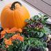Carol Rosenbaum - Facebook