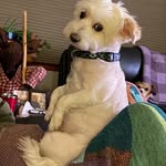 Carol Rosenthal - @muddergoose - Instagram