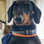 Carol Rosenthal - @carol.rosenthal - Instagram