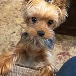 Carol Rudd - @carolrudd341 - Instagram