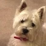 Carol Sharp - @carol.rudd.501 - Instagram