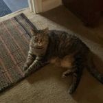 Carol Runge - @murphymarv02 - Instagram